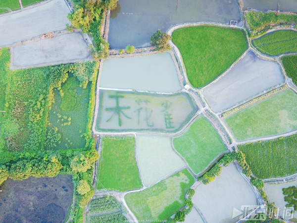 圖：身體上的殘障卻間接幫助鄭啟文發(fā)現(xiàn)了別人看不到的田園風光