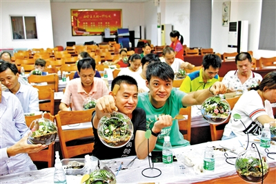 殘障人士體驗生態微景觀DIY