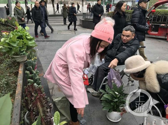 張鋒為客人挑選花草
